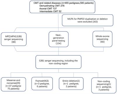 Cross-Sectional Study in a Large Cohort of Chinese Patients With GJB1 Gene Mutations